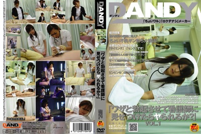 DANDY-041